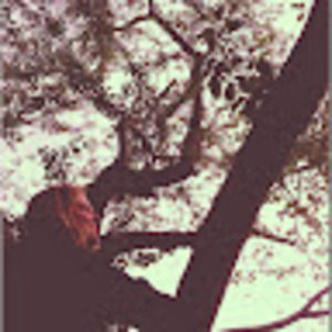 Meet your Posher, Naomi sea